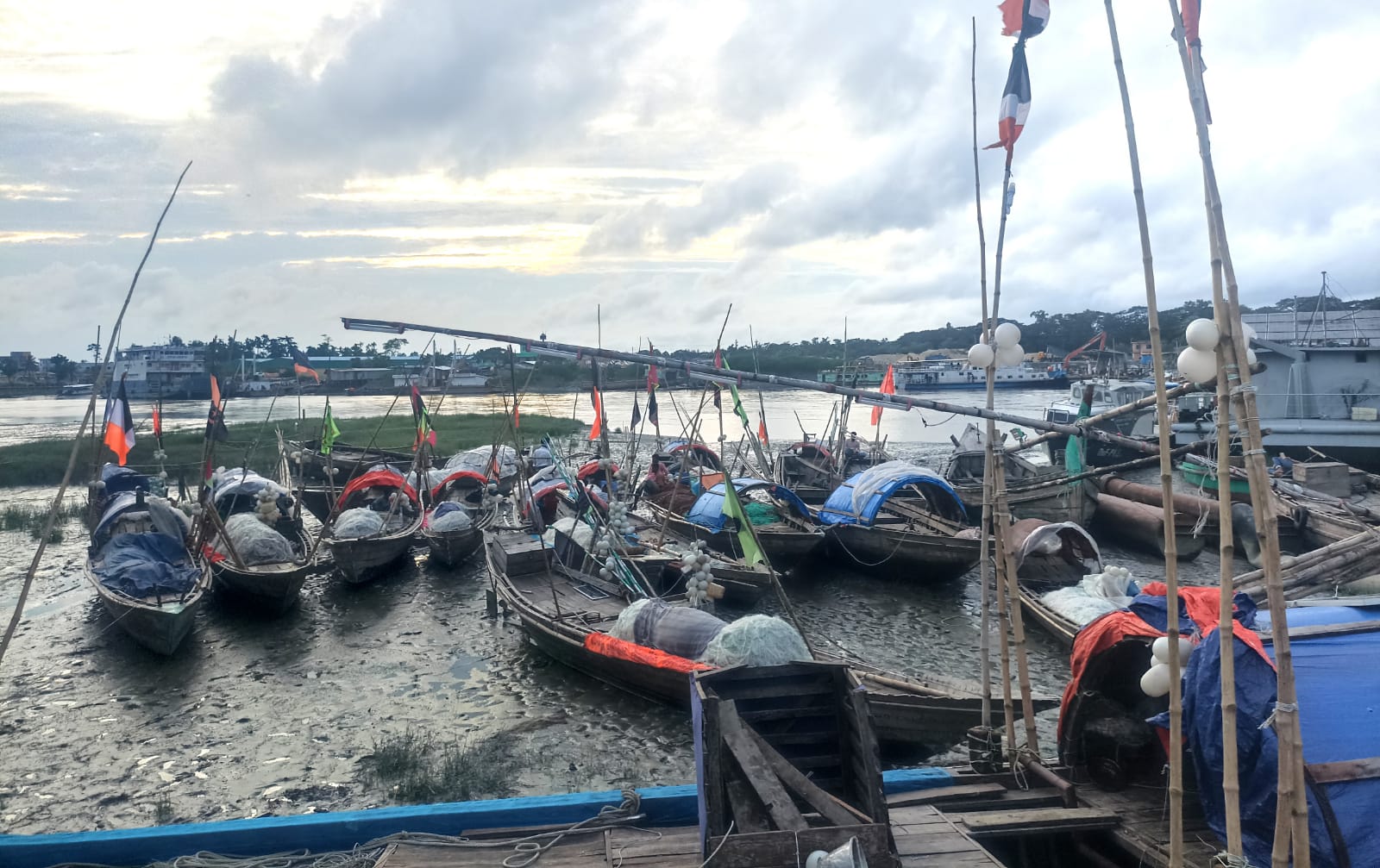 আজ থেকে ২২ দিন লক্ষ্মীপুরের মেঘনায় ইলিশ আহরণে নিষেধাজ্ঞা